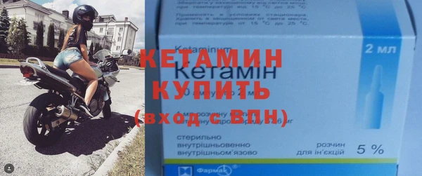 прущие грибы Верхний Тагил