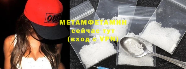 прущие грибы Верхний Тагил