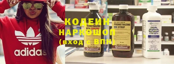 прущие грибы Бородино