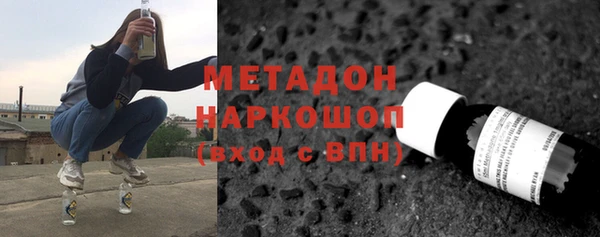 прущие грибы Бородино