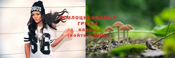 стафф Верея