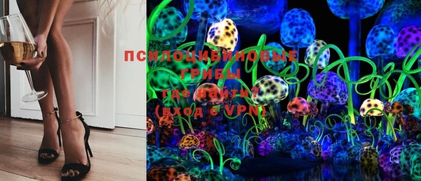 прущие грибы Верхний Тагил