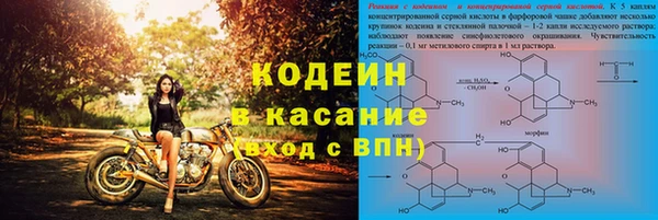 прущие грибы Бородино