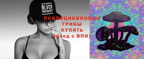 прущие грибы Бородино