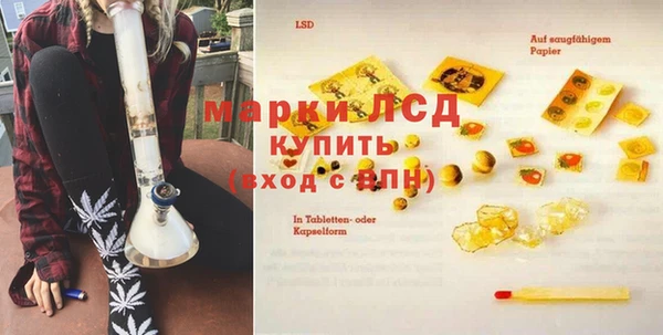 прущие грибы Бородино