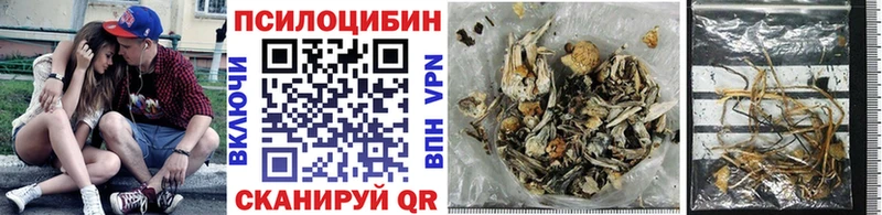 Псилоцибиновые грибы Cubensis даркнет сайт Афипский